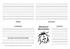 Marienkäfer-Faltbuch-vierseitig-1.pdf